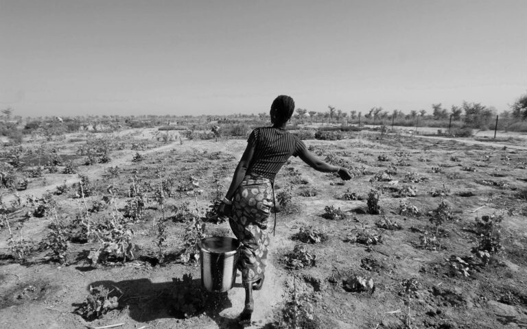 african-woman-transporting-water-to-the-vedgetables