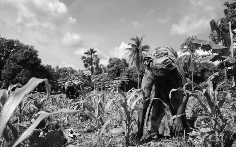 african-woman-working-in-the-field