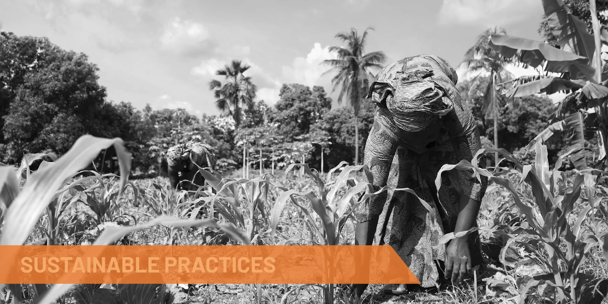 african-woman-working-agriculture